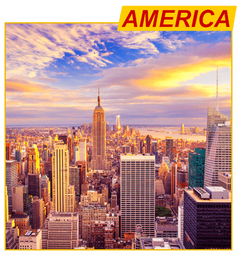 Dichvudhlamerica (2)